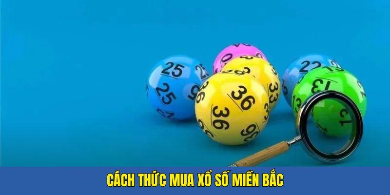 Kinh nghiệm chinh chiến xổ số miền bắc online từ các cao thủ